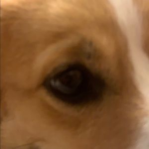 Meet your Posher, Valerie